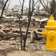 Illustration for article titled Aftermath Of Washington Wildfires Has Made An Eerie Car Graveyard